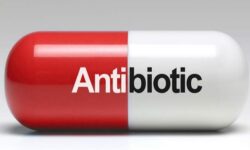 مصرف چرک‌خشک‌کن برای درمان آنفولانزا توصیه نمی‌شود/آنتی‌بیوتیک‌ها نابودکننده میکروب‌های مفید روده